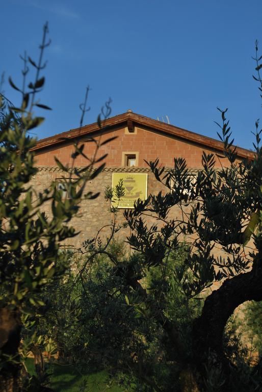 Agriturismo Casale Re Sonnino Exterior photo